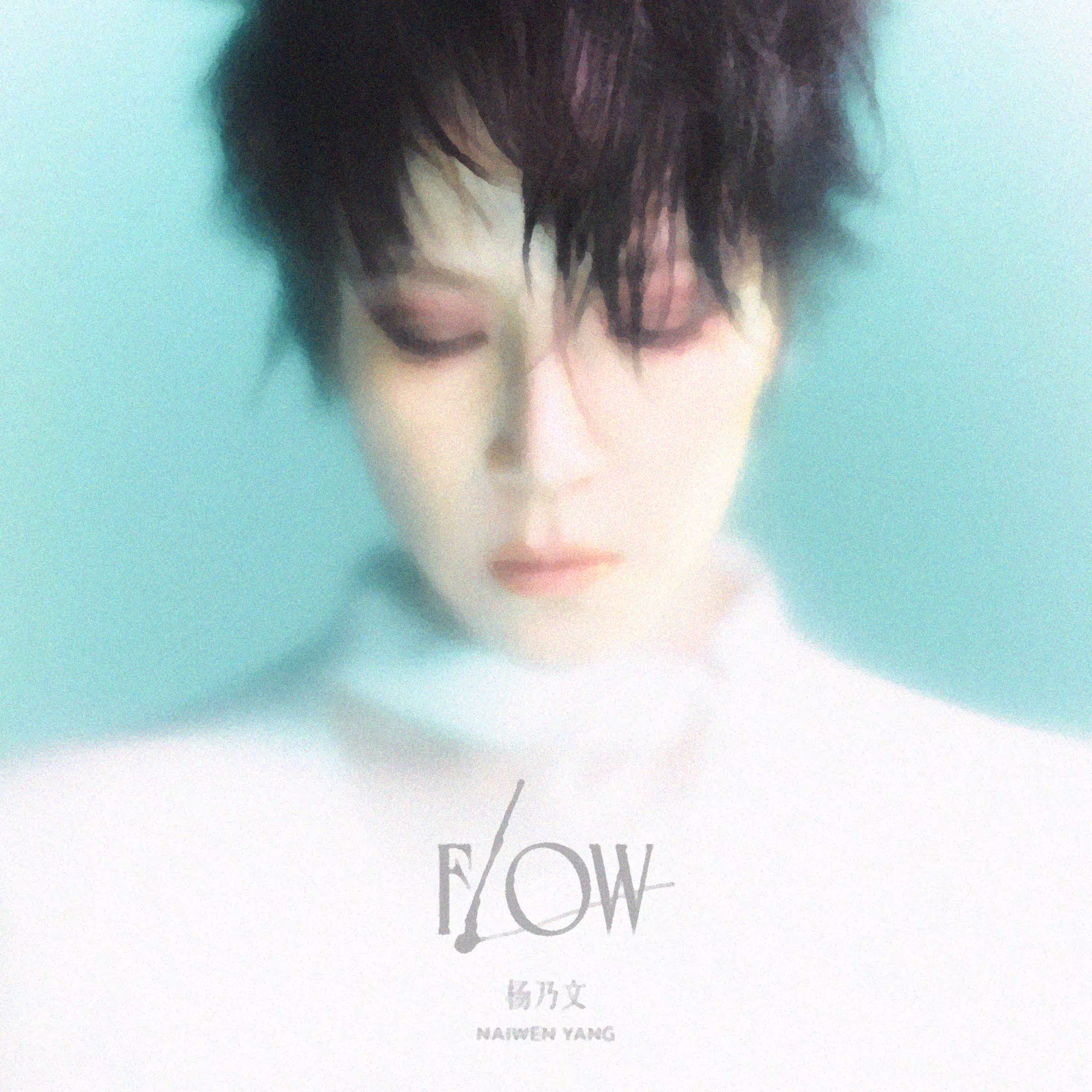 Flow by 杨乃文 (2023)