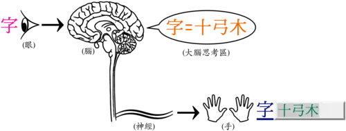 Typing_consciousness.webp