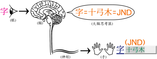 Typing_letter_consciousness.webp