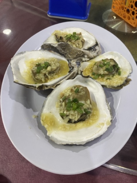 oyster.jpeg